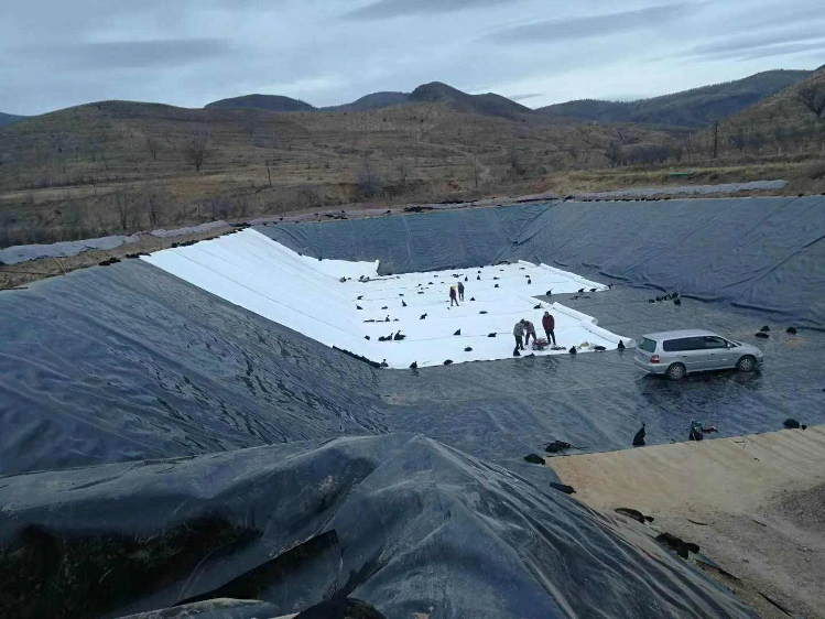 Geomembrane Liner, HDPE Pond Liner, HDPE Geomembrane, GM13 Geomembrane Manufacturer