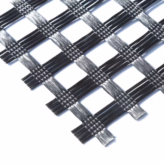 ジオグリッドの工場価格 HDPE ジオグリッド